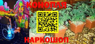 прущие крисы Бузулук