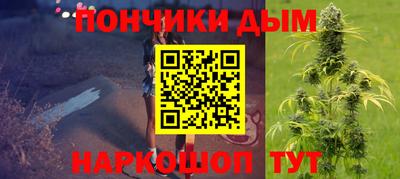 индика Будённовск