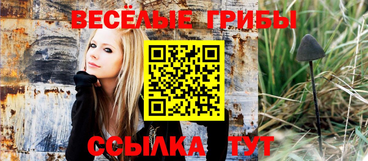 Псилоцибиновые грибы Cubensis Изобильный